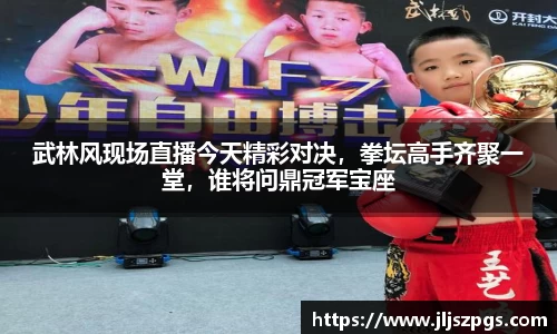 武林风现场直播今天精彩对决，拳坛高手齐聚一堂，谁将问鼎冠军宝座