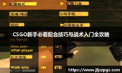 CSGO新手必看配合技巧与战术入门全攻略